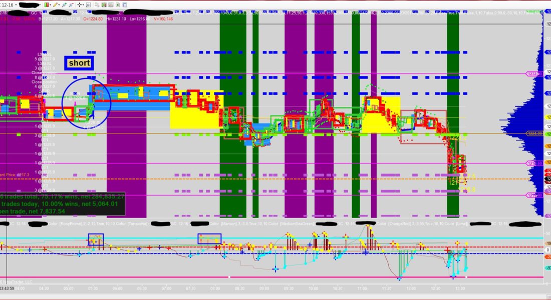 Brick Strategy , NINJA TRADER, technical Analysis, Forex trading stratgies, Forex Trade Indicator, rsi, emini, ninja trading, , best Forex Indicator, Swing Trading, day trading strategies,  trade ninja, day trading, candlestick Chart, Ninja Trading Platform